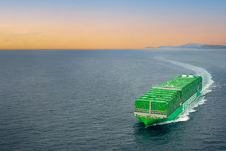 Greencarier kundfall med swedwise